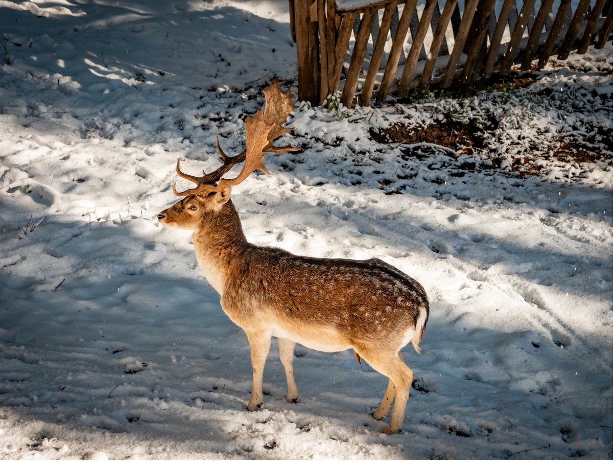 Centro Visitatori Monaco, area naturalistica
