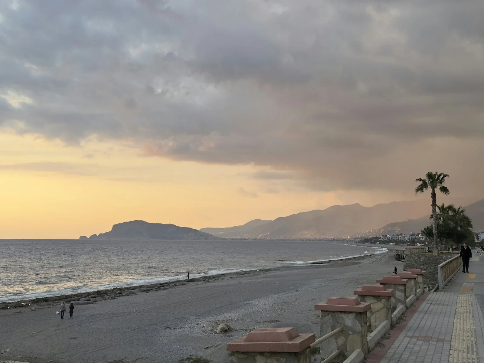 Lungomare con palme sul Mediterraneo