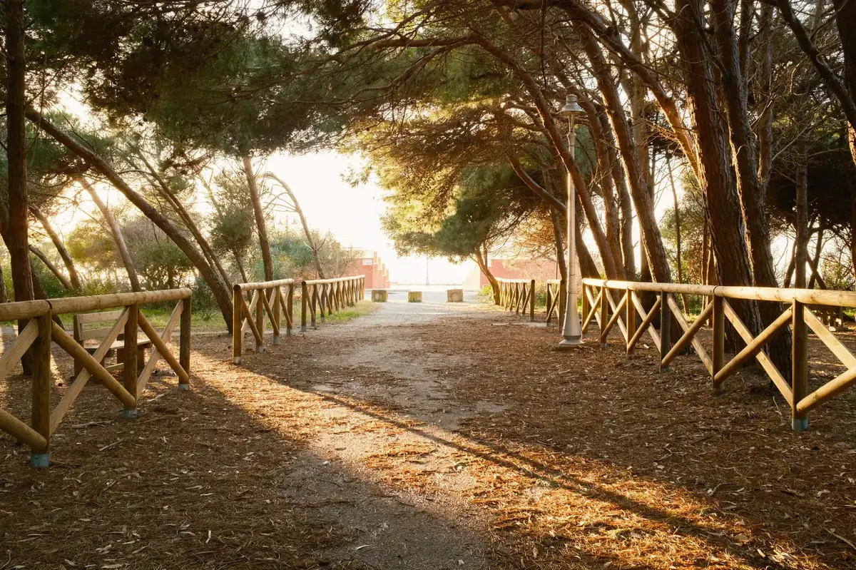 Riviera dei Tramonti — pinete e mare sul Lungomare di Lamezia
