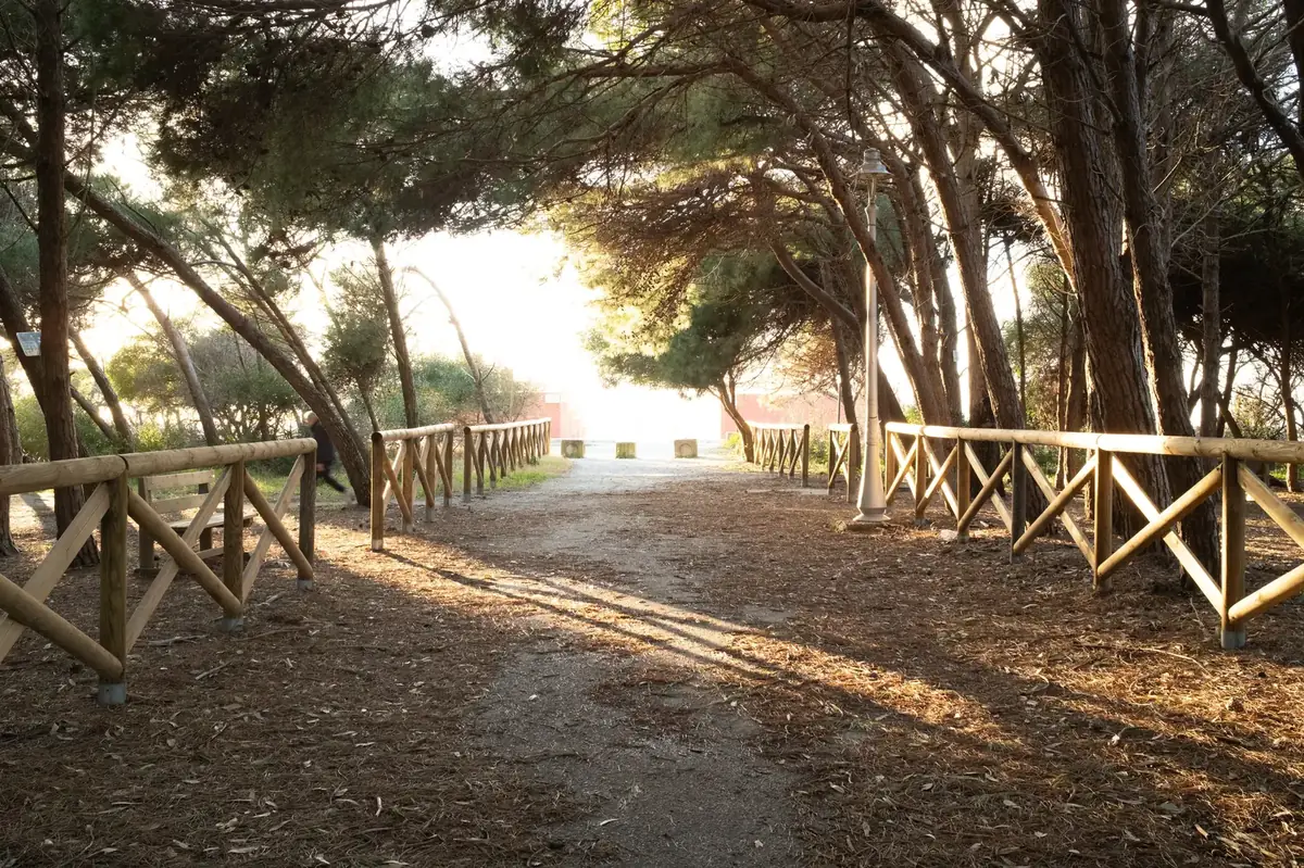 Riviera dei Tramonti – spiaggia e pini marittimi