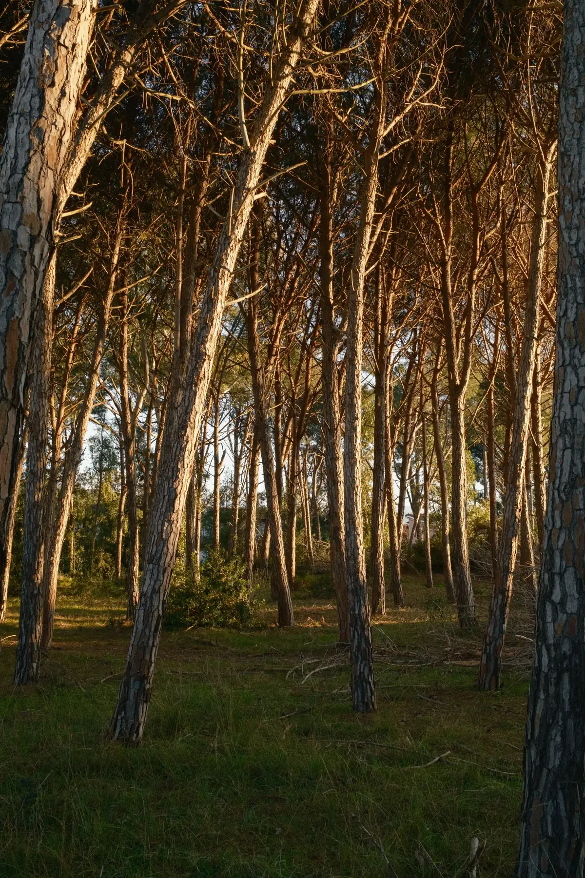 Riviera dei Tramonti – tramonto sul Tirreno