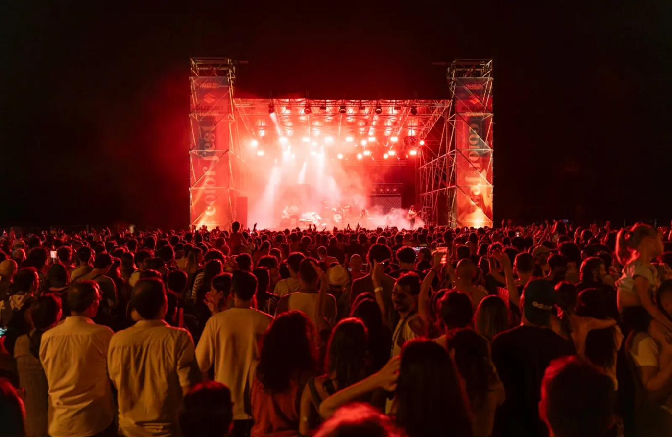 Pubblico al Color Fest durante un concerto live