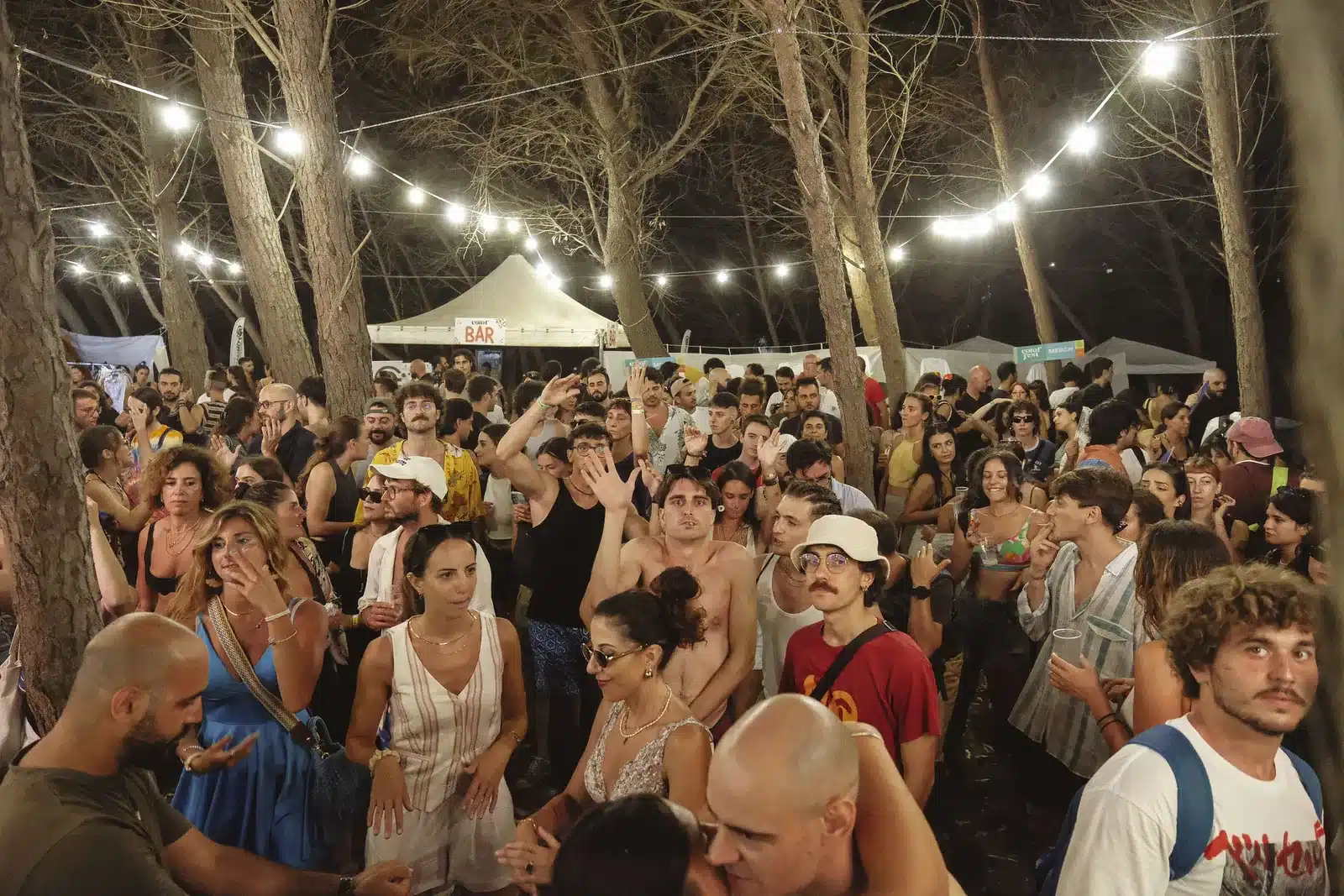 Pubblico del Color Fest fra i pini del Palco Pineta