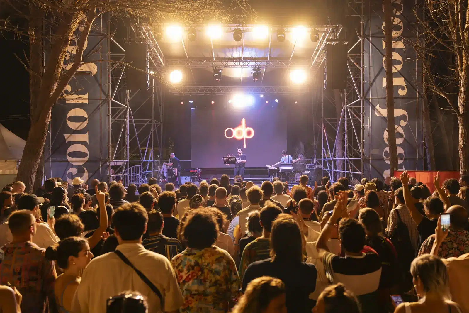 Concerto notturno al Color Fest con luci sul palco e pubblico